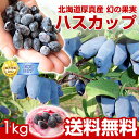 北海道厚真産幻の果実ハスカップ　500g×2※冷凍
