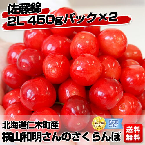 北海道仁木町産　横山和明さんのさくらんぼ佐藤錦　2L 450gパック×2佐藤錦はさくらんぼの王様！