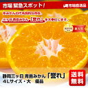  静岡　三ヶ日　青島みかん「誉れ」4L　4.5キロ箱　3800円を⇒2,480円マルチ栽培で作った特別みかん。