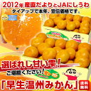 愛媛産 西宇和温州みかん3キロ（S〜2Lサイズ）×2箱⇒破格値2,380円・送料無料！