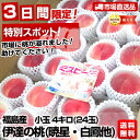 福島 伊達の桃（暁星・白鳳他）小玉 4キロ（24玉）2,200円・送料無料！3日間限定・特別スポット！市場に桃が溢れました！