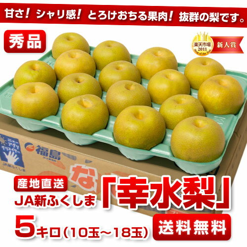 タイムセール！JA新ふくしま幸水梨　秀品　5キロ（10玉〜18玉）2,500円・送料無料