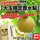 天皇杯受賞産地「大玉限定　豊水梨」5キロ（9玉〜12玉）西日本最大梨産地！この梨でなければいけない理由がある