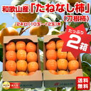 和歌山産 JA紀の里 たねなし柿（刀根柿）2kg（10〜12玉）×2箱 ⇒2,500円・送料無料！今だけ送料無料！数量限定品