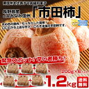 長野県産 JAみなみ信州 市田柿 1袋200g×6 化粧箱入り 合計1.2キロ 送料無料緊急スポット！早い者勝ち！