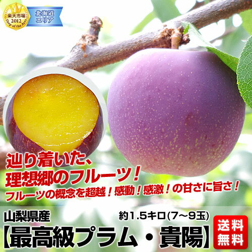 産地直送　山梨県産【最高級プラム・貴陽】1.5キロ化粧箱（7玉〜9玉）5000円を⇒2,980円・送料無料！辿り着いた、理想郷のフルーツ！フルーツの概念を超越！感動！感激！の甘さに旨さ！