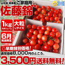 山形東根産 6月発送 ご家庭用「さくらんぼ佐藤錦」 大粒のLサイズ限定！大ボリューム1キロ⇒3,500円・送料無料極旬！高価な6月発送限定！送料無料の先行超特別価格