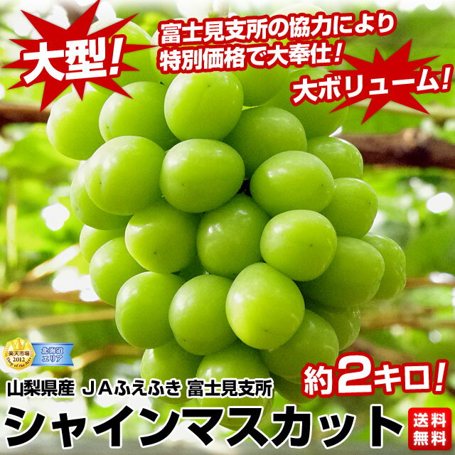 JAふえふき 富士見支所　山梨県産　シャインマスカット約2キロ（3房〜4房）3,500円・送料無料種無し・皮ごと食べられ、糖度は、20度越への甘〜い葡萄