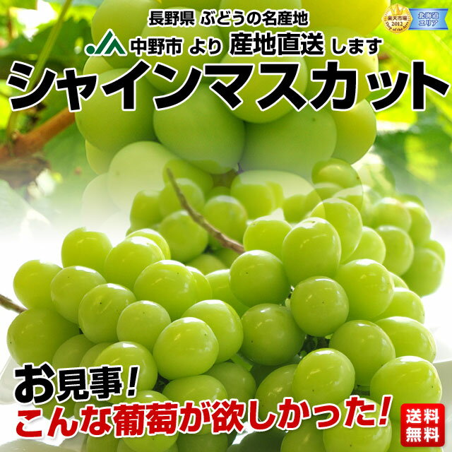 長野県　JA中野市　シャインマスカット　大盛り約2キロ（3房〜4房）3,680円・送料無料種無し・皮ごと食べられ、超高糖度の甘〜い葡萄