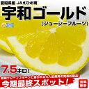 愛媛県産　宇和ゴールド（ジューシーフルーツ）7.5キロM〜5Lサイズ（9玉〜25玉）和製グレープフルーツと言われる大人気果実の完熟貯蔵品！