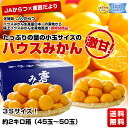 佐賀県　JAからつ　ハウスみかん　3Sサイズ 約2キロ箱（45玉〜50玉）⇒2,980円・産地直送夏の味覚！ハウスみかんを大宣伝価格で大奉仕！激甘！破格値！たっぷりの量の小玉サイズ！