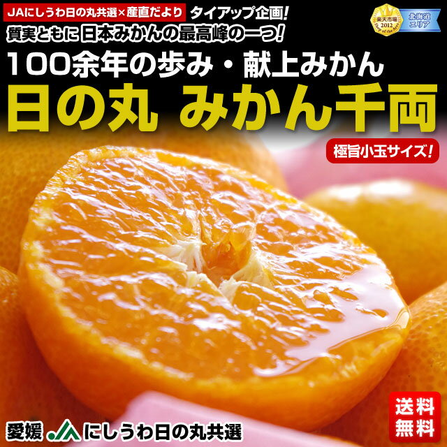 愛媛　JAにしうわ　日の丸みかん　千両（極旨小玉サイズ）5キロ　小玉（60玉〜80玉）特別価格！⇒3,000円・送料無料！日本みかんの最高峰の一つ！100余年の歩み・献上みかん