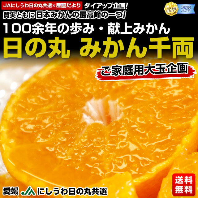 愛媛　JAにしうわ　日の丸みかん　千両（ご家庭用大玉企画）5キロ　2Lサイズ　特別価格！⇒2,500円・送料無料！日の丸みかん　ご家庭用　大玉を驚きの価格で提供します。