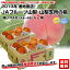 2013年 産地直送！JAフルーツ山梨 山梨支所の桃 1.5キロ（6玉〜8玉）3,000円を⇒2箱で3,250円・送料無料！超一流産地の桃を産地直送でお届けします。