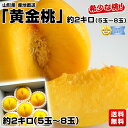 山形県産 産地直送「黄金桃」約2キロ(5玉〜8玉)