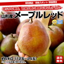 山形産　メープルレッド　約5キロ（12玉〜24玉）破格2,500円・送料無料！緊急スポット！数量限定　滑らかな果肉、甘味が高い美味な洋なしデビュー