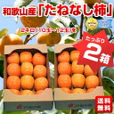 和歌山産 JA紀の里 たねなし柿 2kg（10〜12玉）×2箱 ⇒2,500円・送料無料！
