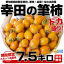 愛知産 幸田の筆柿 7.5キロ2L又はLサイズ（70粒〜80粒）2,300円・送料無料期間限定スポット品 筆柿全国1位の出荷量