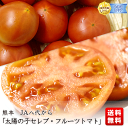 熊本産　太陽の子セレブ・フルーツトマト 約1キロ（9玉〜16玉）ついに登場！塩トマトの代表格
