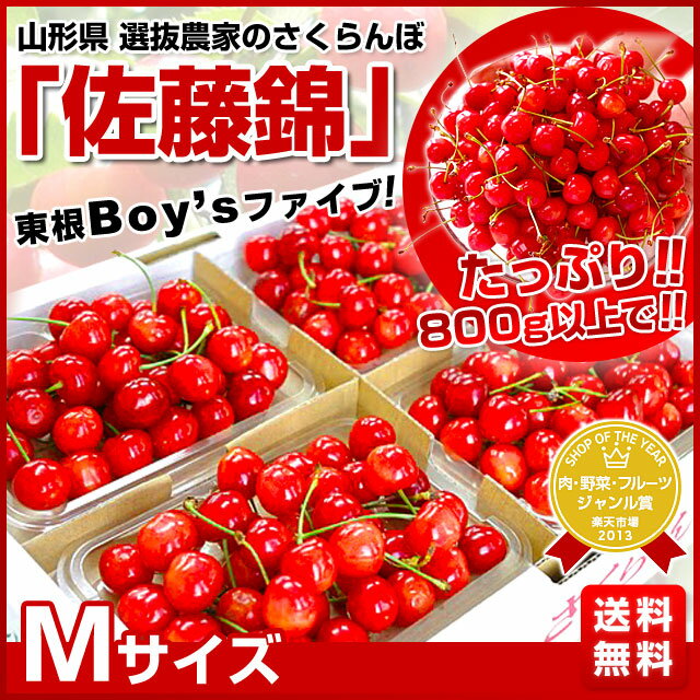 復活！東根Boy’sファイブ選抜農家のさくらんぼ「佐藤錦」Mサイズ800g（200g×4入り）2,980円・送料無料！全国翌日お届け！どこでも買うことのできない「Boy’sファイブ」の高品質の佐藤錦！