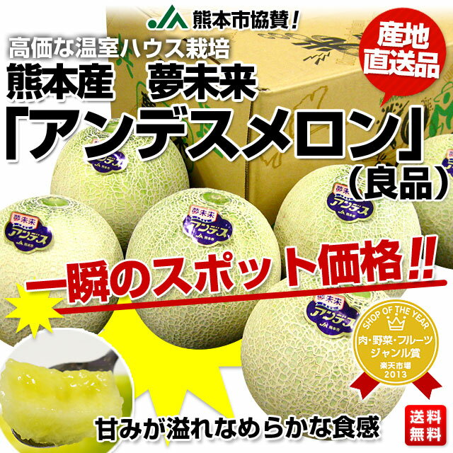 熊本産　夢未来　アンデスメロン　4〜5キロ箱　Lサイズ　6玉超特別価格　3,980円 送料無料