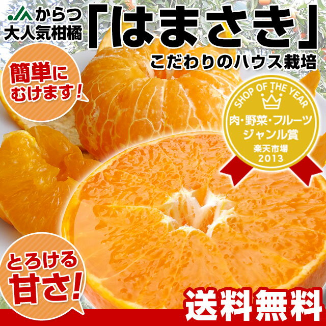 JAからつ 大人気柑橘 はまさき（こだわりのハウス栽培）L〜Sサイズ 2キロ（14〜18玉前後）超極上な柑橘が豊かな甘味をまとって、みかんのような食べやすさで登場！