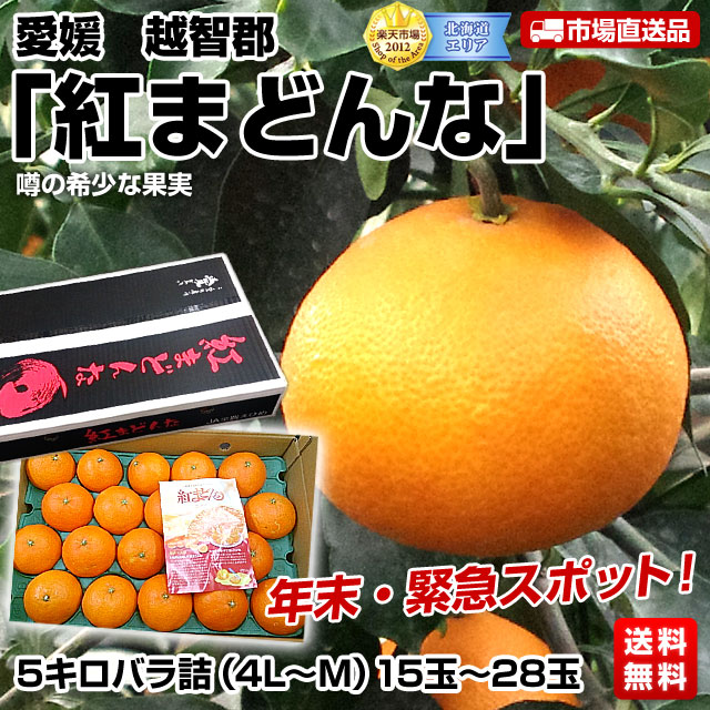 愛媛　越智郡　紅まどんな　5キロ（4L〜M）15玉〜28玉限定250ケース！超目玉の年末緊急スポット！