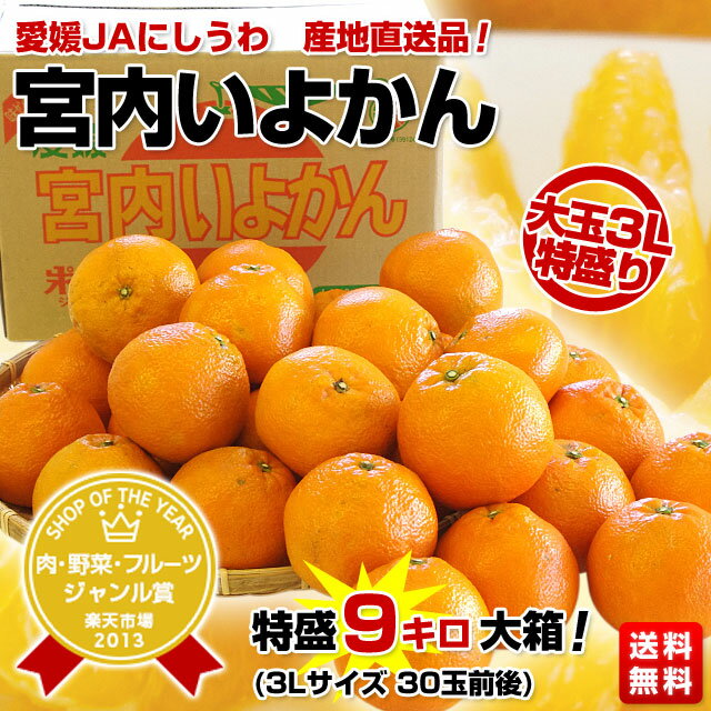 緊急セール！愛媛 JAにしうわ 「宮内いよかん」　9キロ箱　大玉3Lサイズ⇒2,399円・送料無料！伊予柑大暴落！送料もタダ！一年に一度のチャンス！応援お願いします。伊予柑は冬の果実の代表的な存在。