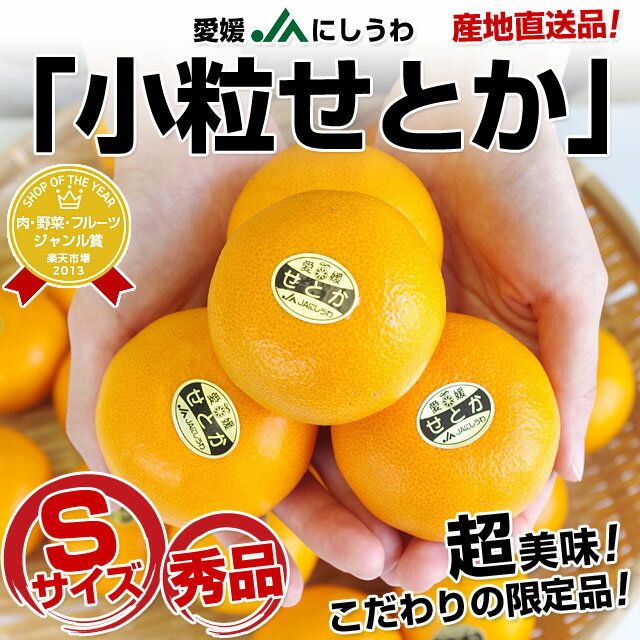 愛媛JAにしうわ 産地直送品！「小粒せとか」秀品 約3キロ 手詰め 小玉（24玉入り）緊急特売！超美味！こだわりの限定品！