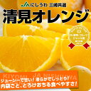 愛媛JAにしうわ 三崎共選より産地直送！清見オレンジ3キロ L〜2Lジューシーで甘い！滑らかでしっとり！内袋ごと、とろけおちる食べやすさ！