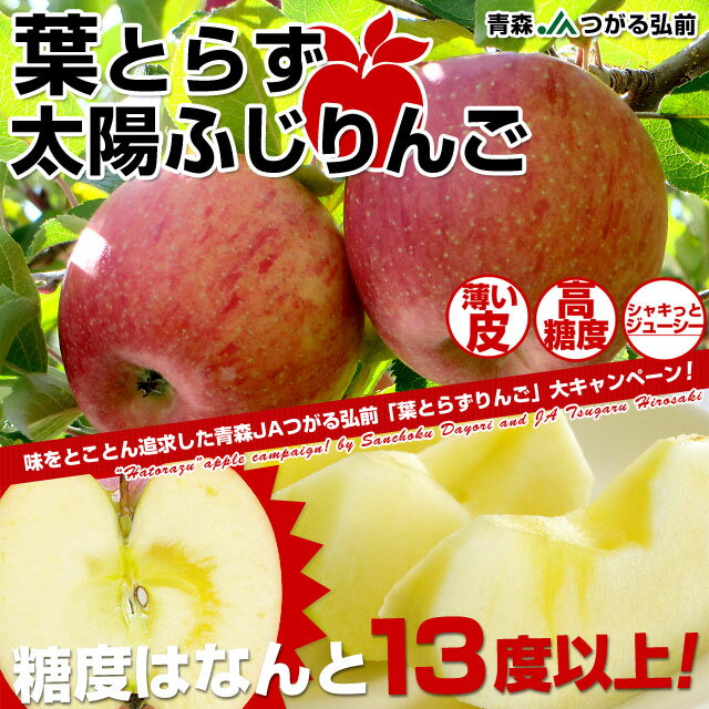 楽天ランキング総合1位獲得！青森JAつがる弘前 糖度13度以上「葉とらず太陽ふじりんご」3キロ×2箱（9〜13玉×2箱）送料込み