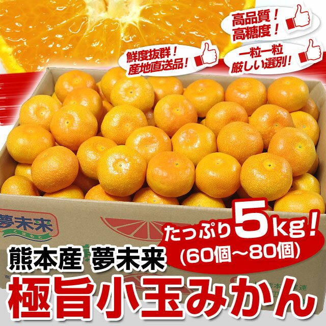 【送料無料】熊本産　夢未来「極旨小玉みかん」たっぷり　5キロ（60個から80個）