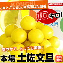 送料無料　高知県産　JAとさし又は、JA高知はた宿毛　土佐文旦　10キロ 2Lから4L（15玉から22玉）市場発送