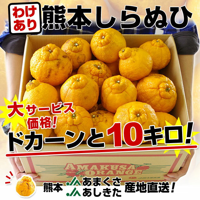 【送料無料】熊本　JAあまくさ JAあしきた　産地直送！訳あり 熊本しらぬひ10キロ