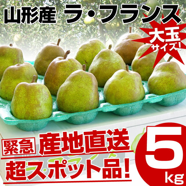送料無料 山形県より産地直送 山形産ラ・フランス 超スポット品 大玉 約5キロ(10玉から16玉) ようなし ランキングお取り寄せ