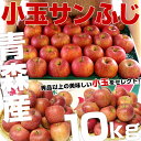 送料無料 青森県産 サンふじ 小玉 約10キロ(5