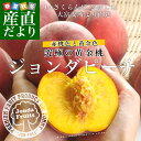 送料無料 山形県より産地直送 JAさくらんぼひがし