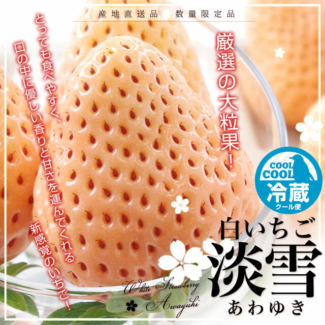 送料無料 熊本県産 白いちご 淡雪(あわゆき)約400g(9粒から15粒)化粧箱入り 苺 白イチゴ ランキングお取り寄せ