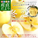 送料無料 岩手県より産地直送 JA全農いわて いわて純情りんご 冬恋(品種:はるか