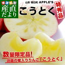 送料無料 山形県より産地直送 山形朝日町APPLE’S 光徳(こうとく) 約2キロ(8玉から12玉) 林檎 りんご リンゴ