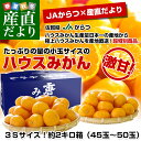 佐賀県より産地直送 JAからつ ハウスみかん 3Sサイズ ...