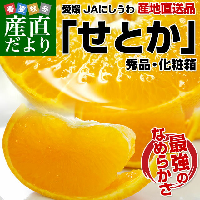 送料無料 愛媛県より産地直送　JAにしうわ　せとか　秀品　Lから3Lサイズ　3キロ（10から15玉）