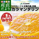 送料無料 愛媛県産 JAえひめ中央 中島...