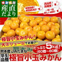 お一人様2箱まで!送料無料 熊本県より産...