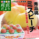 送料無料 福島県より産地直送 JAふくしま未来 秀