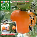 送料無料 愛媛県より産地直送 JAにしうわ 富士柿 秀品 約2キロ(5玉から6玉)柿 ふじがき かき カキ