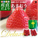 送料無料 福岡県より産地直送 JAくるめ あまおういちご D...