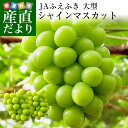 RYn JAӂӂ VC}XJbg 1.2L (600g~2[)   Ԃǂ 