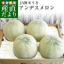 送料無料 熊本県産 JA熊本うき アンデスメロン 4Lから3L 5キロ箱(3から4玉)
