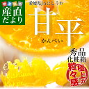 送料無料 愛媛県より産地直送 JAにしうわ 甘平(かんぺい) 秀品 2Lから3Lサイズ